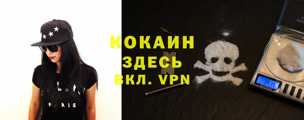 сатива Ладушкин