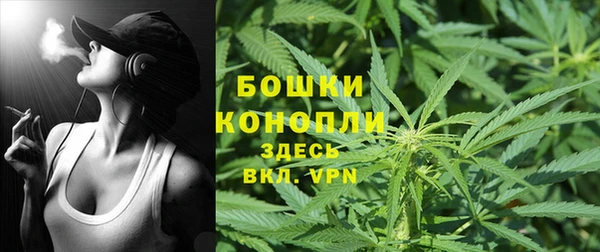 молекула духа Лиски