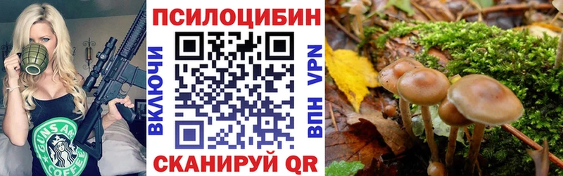 купить наркоту  omg вход  Галлюциногенные грибы ЛСД  Тында 